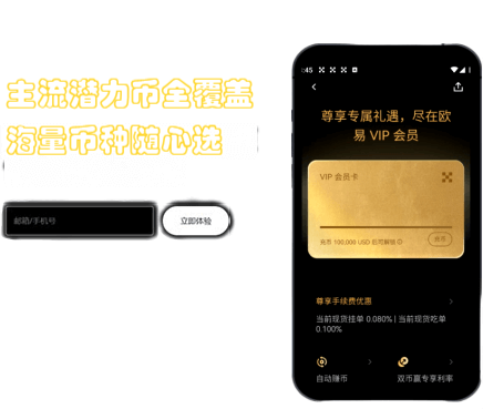 VIP 管理界面